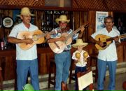 Сергей Шепилов фотография #20 (источник - https://vk.com/id376926)