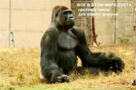 Александр Рябков фотография #31 (источник - https://vk.com/id4585970)