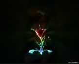 Віктор Ладижець фотография #8 (источник - https://vk.com/id133444303)