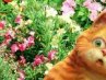 Богдан Погорілець фотография #5 (источник - https://vk.com/id151251569)