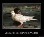 Іринка Лавренко фотография #9 (источник - https://vk.com/id23702185)