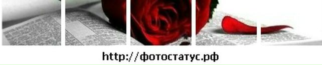 Світлана Заяць фотография #27 (источник - https://vk.com/id14602395)