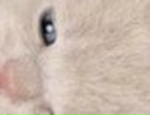 Марінка Зрайченко фотография #21 (источник - https://vk.com/id133549217)