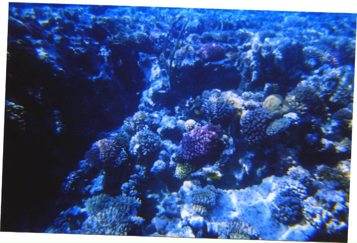 Дмитрий Смирнов фотография #23