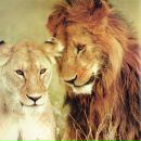 Фотография Горюновой Елены