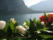 Марія Стасів фотография #1