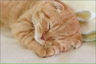 Фотография Яровиковой Яны