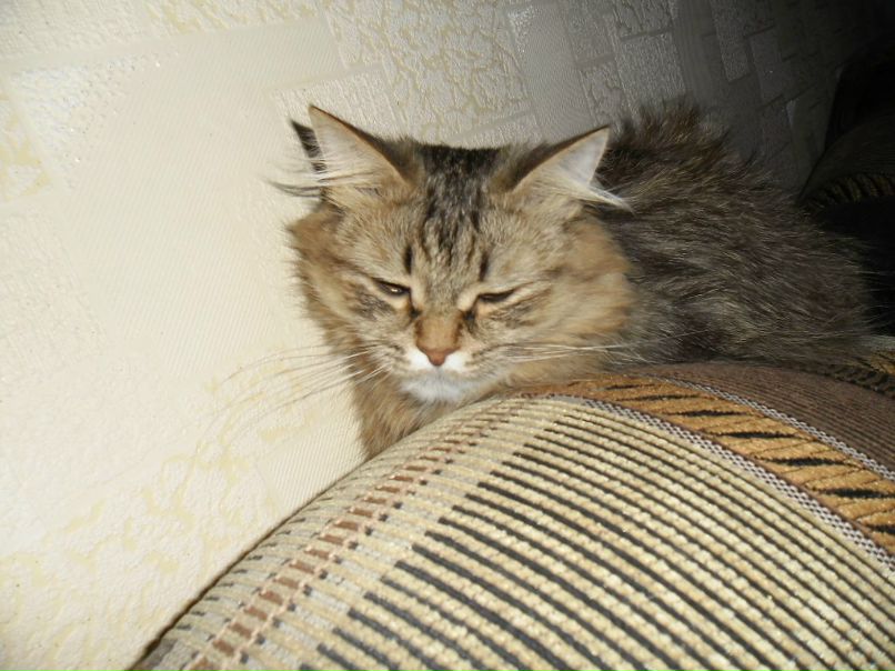 Женя Дмитриев фотография #24