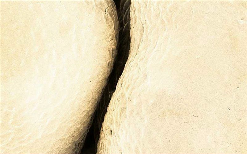 Moth Dom фото №15