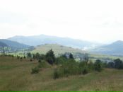 Віка Карпин фотография #19 (источник - https://vk.com/id90324978)