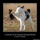 Фотография Замятниной Светланы