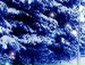 Славік Терлюжак фотография #30 (источник - https://vk.com/id134287396)