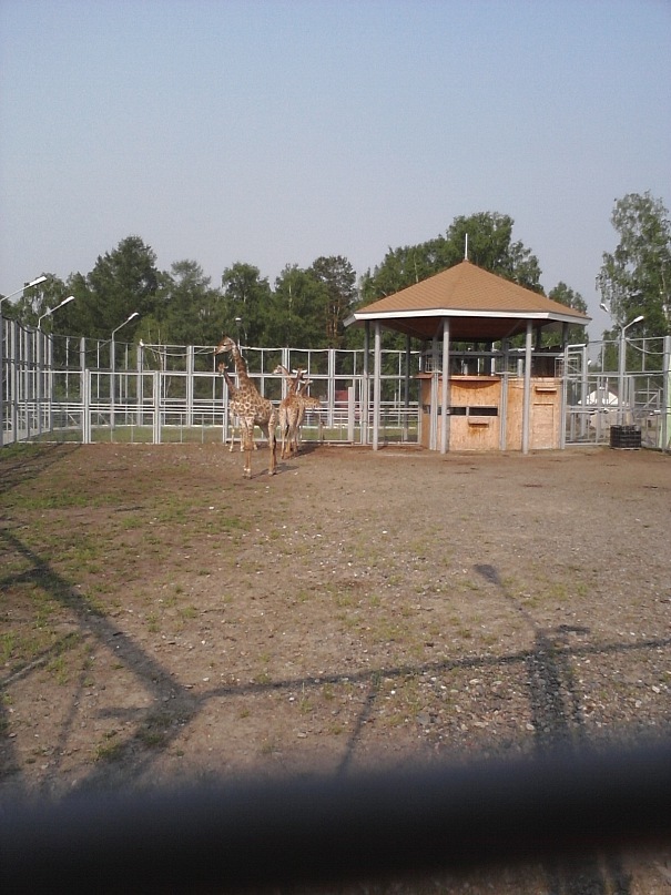 Дмитрий Иост фотография #45