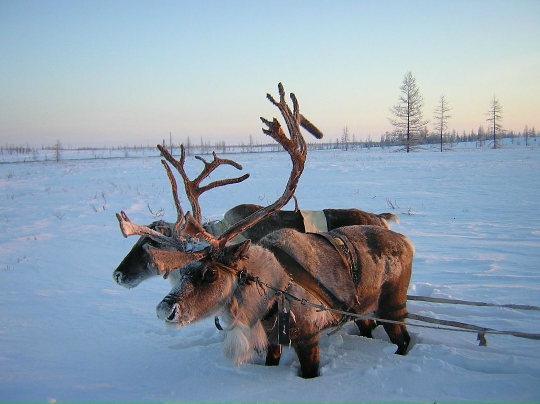 Сергей Розе фотография #36