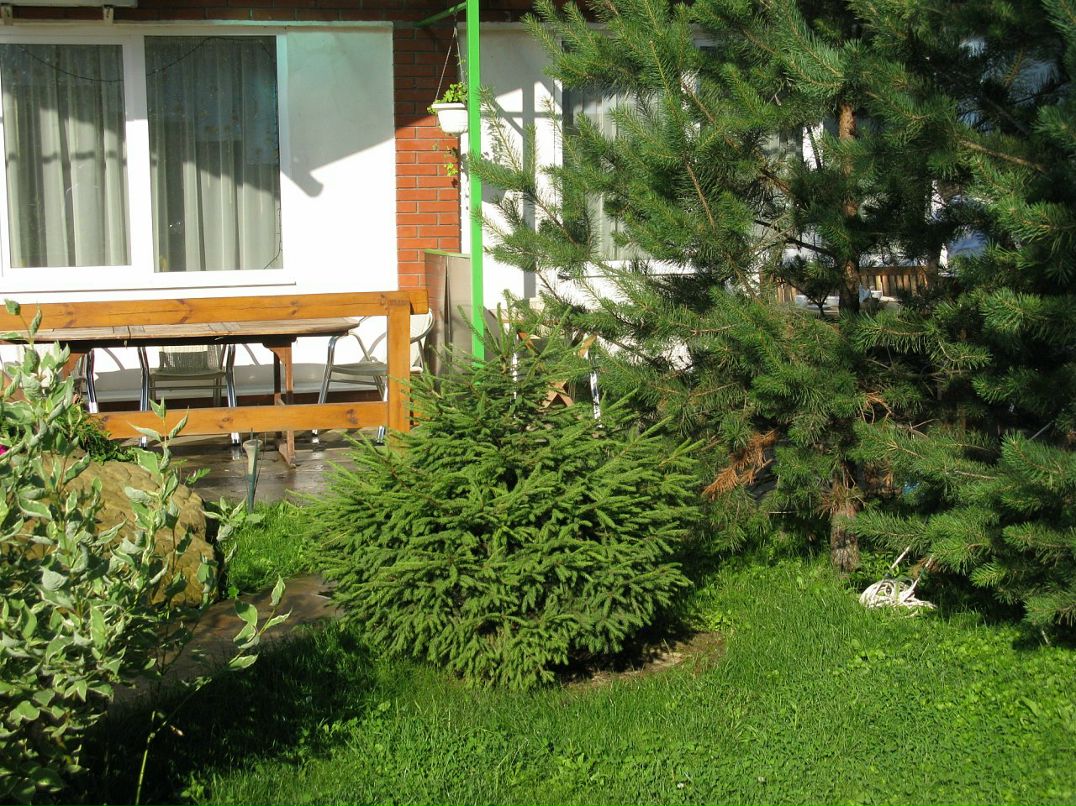 Дмитрий Ермилов фотография #6