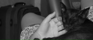 Фотография Финашиной Антониды