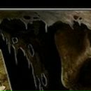 Міша Канафеев фотография #27 (источник - https://vk.com/id51463416)