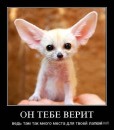 Андрей Сергеев фотография #16 (источник - https://vk.com/id775176)