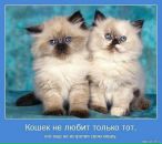 Андрій Абрамчук фотография #16 (источник - https://vk.com/id11939354)