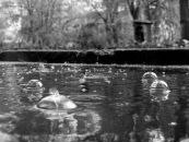 Оля Захарчук фотография #48 (источник - https://vk.com/id16307985)