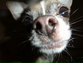 Фотография Мартыненко Кузьмы