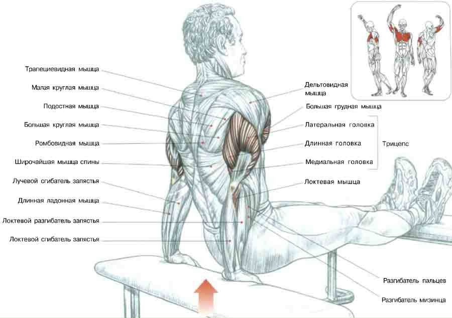 Яраш Акаев фотография #14