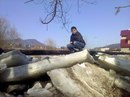 Міша Дуб фотография #7 (источник - https://vk.com/id168605427)