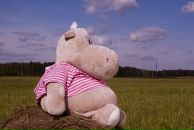 Фотография Переходюка Юрия