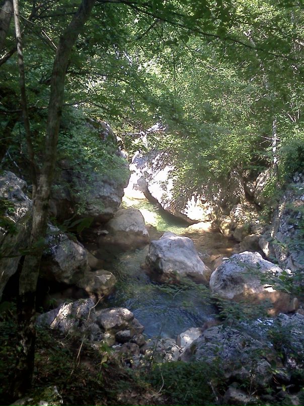 Иван Кириченко фотография #14