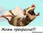 Анна Кравчук фотография #18 (источник - https://vk.com/id11229213)